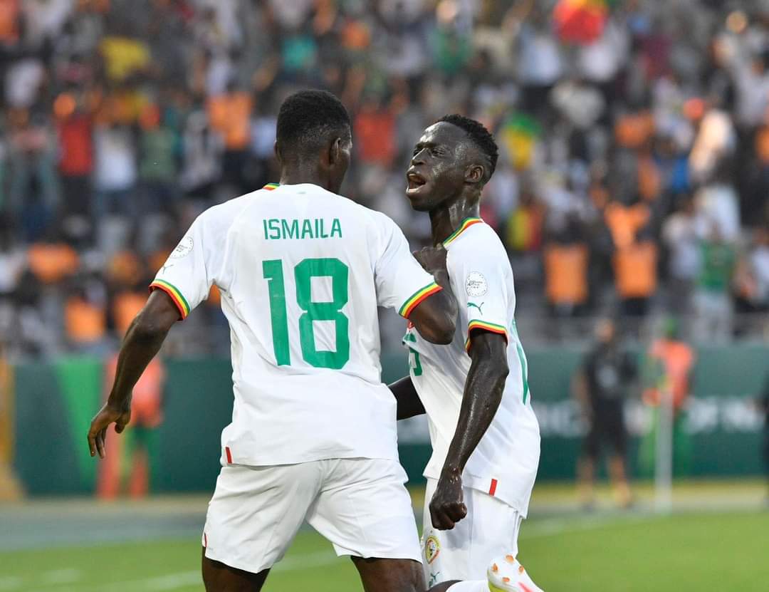 Can Les Lions Indomptables Dompt S Par Les Lions De La